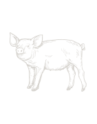 Charcuterie Artisanale en ligne : Corse, Basque, Italie, Espagne