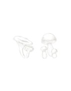 Nos Plats cuisinés du Terroir
